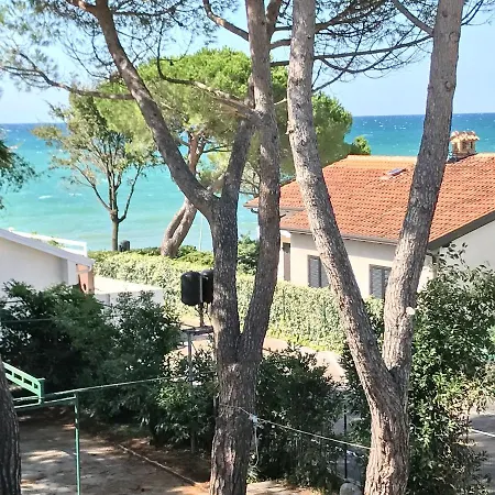 Todor Seaside *