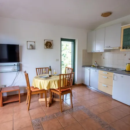 Apartment Todor Seaside Lovrecica (Istria)