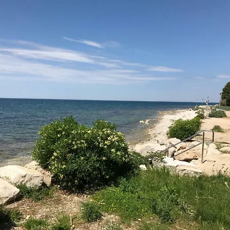 Todor Seaside *